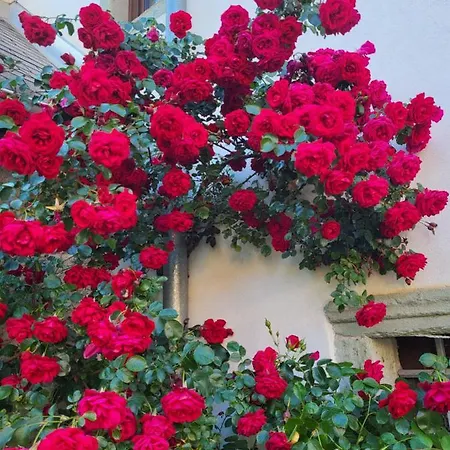 Hébergement de vacances Resort Vidmar - Baroque Villa Near Bled *