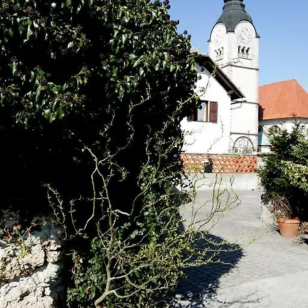 Hébergement de vacances Resort Vidmar - Baroque Villa Near Bled Lesce (Upper Carniola)