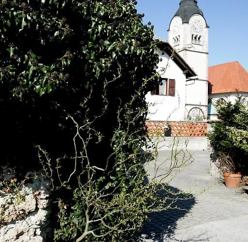 Casa vacanze Baroque villa near Bled - Resort Vidmar Lesce (Upper Carniola)